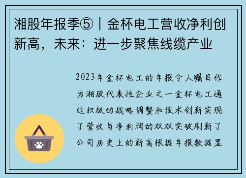 湘股年报季⑤｜金杯电工营收净利创新高，未来：进一步聚焦线缆产业