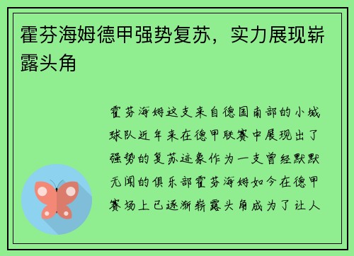 霍芬海姆德甲强势复苏，实力展现崭露头角